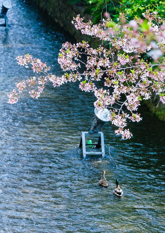 KumoMachiya Takasegawa Villa Kyoto Eksteriør billede