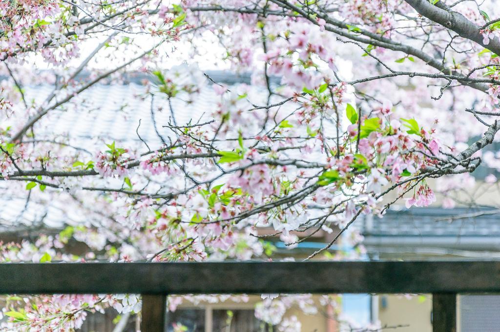 KumoMachiya Takasegawa Villa Kyoto Eksteriør billede