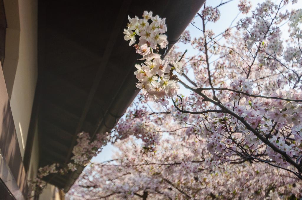 KumoMachiya Takasegawa Villa Kyoto Eksteriør billede